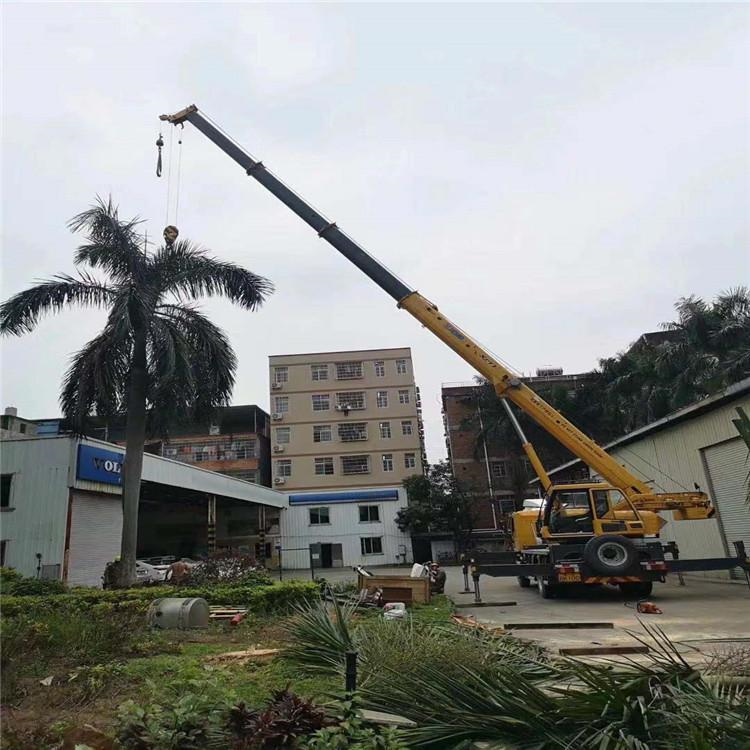 昌乐汽车吊出租多少钱？全面解析与市场行情